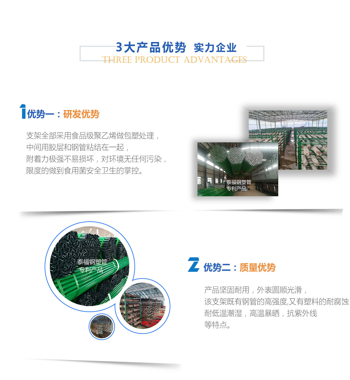 天津泰福