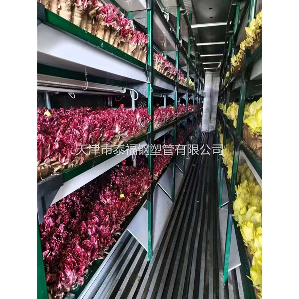 外包蘑菇架