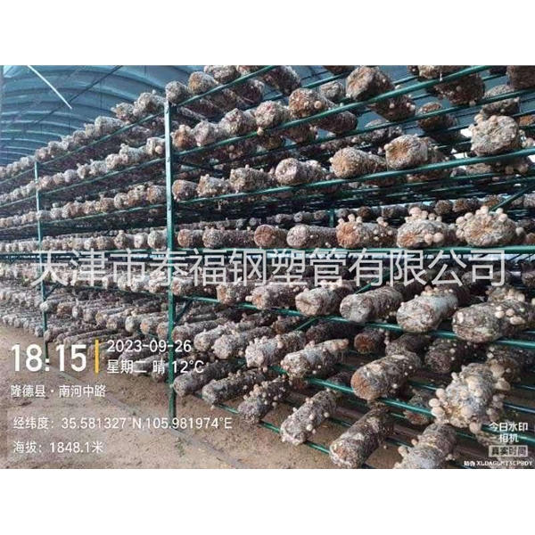 香菇出菇架