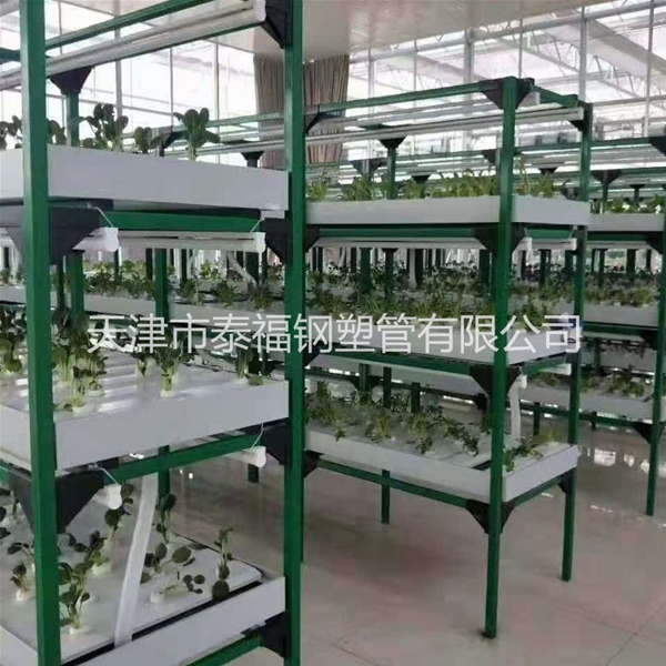 香菇出菇架