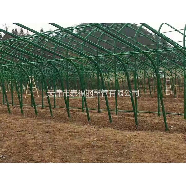 外包塑养殖大棚