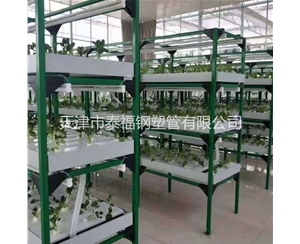 香菇出菇架