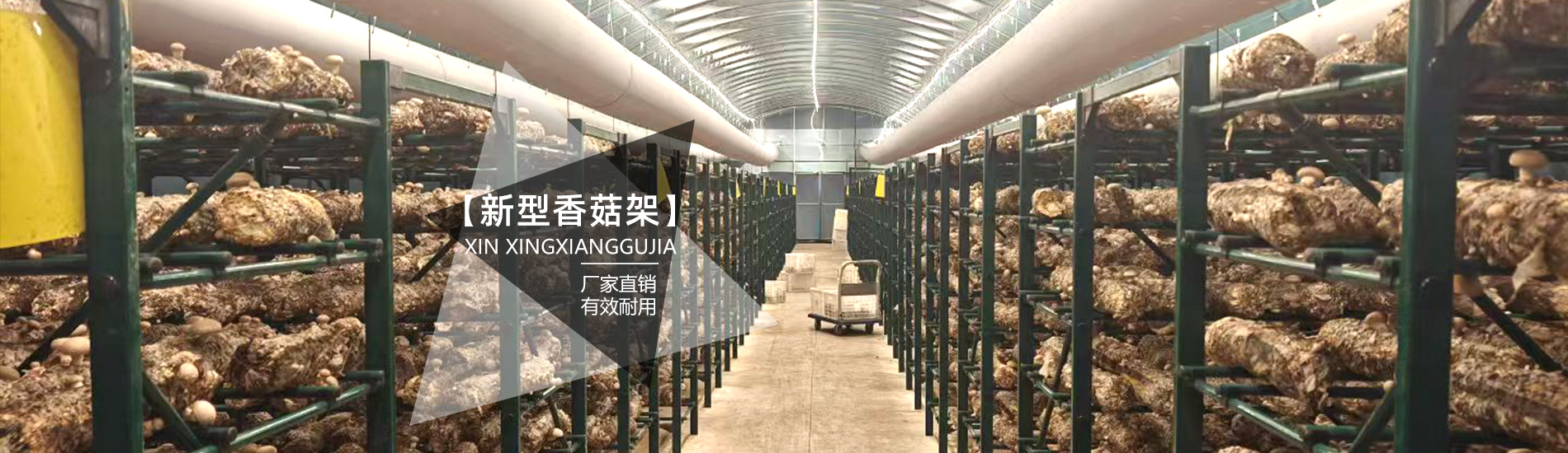 天津市泰福钢塑管有限公司